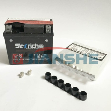 Аккумулятор Skyrich YTX5L-BS 12V 4 Ah 112*70*104 (Active)